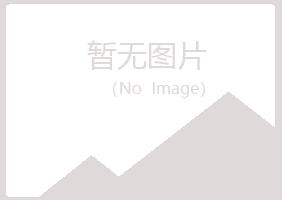 华池县字迹会计有限公司